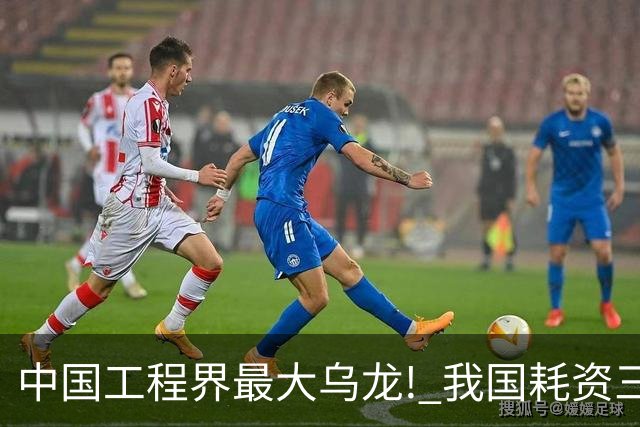 中国工程界最大乌龙! 我国耗资三亿修建发电厂, 10年后竟便宜给了羊
