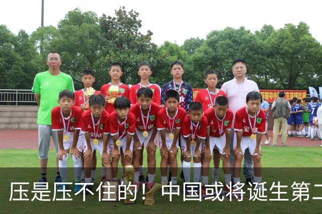 压是压不住的！中国或将诞生第二个华为